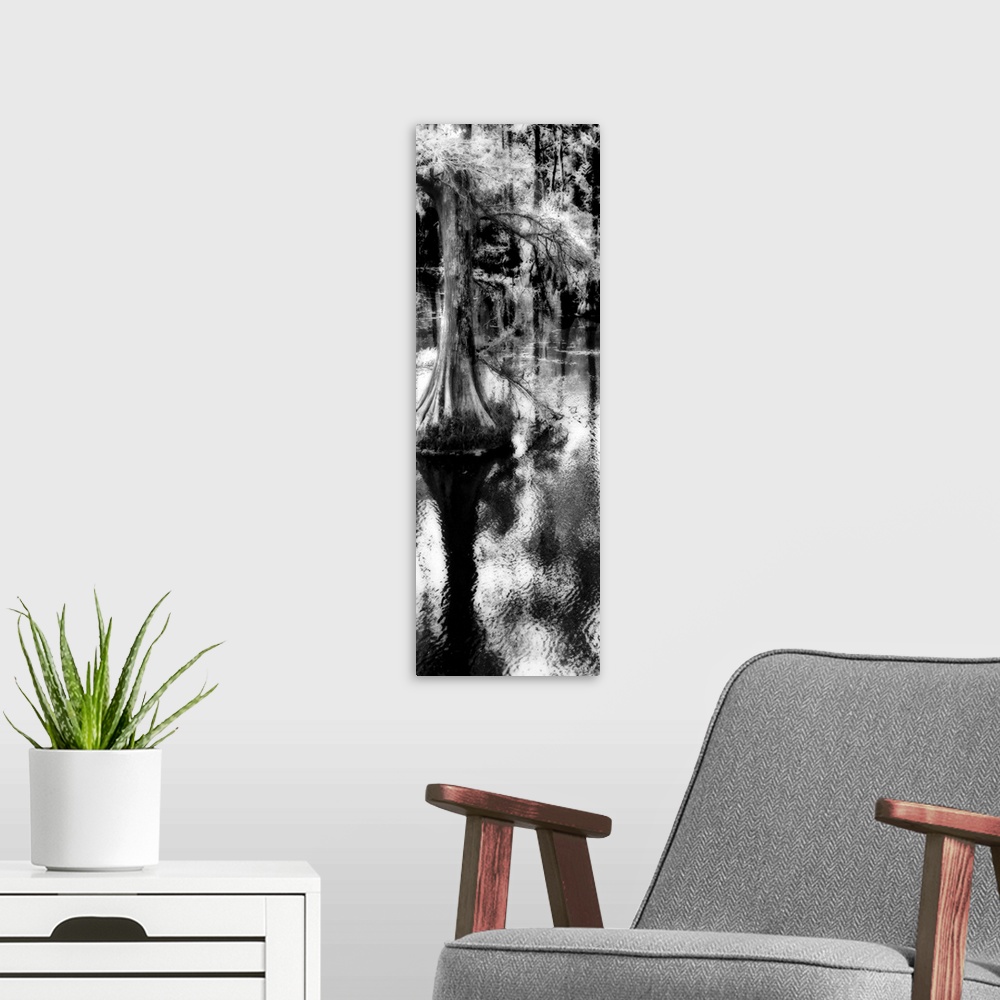A modern room featuring Trenton Cypress 2