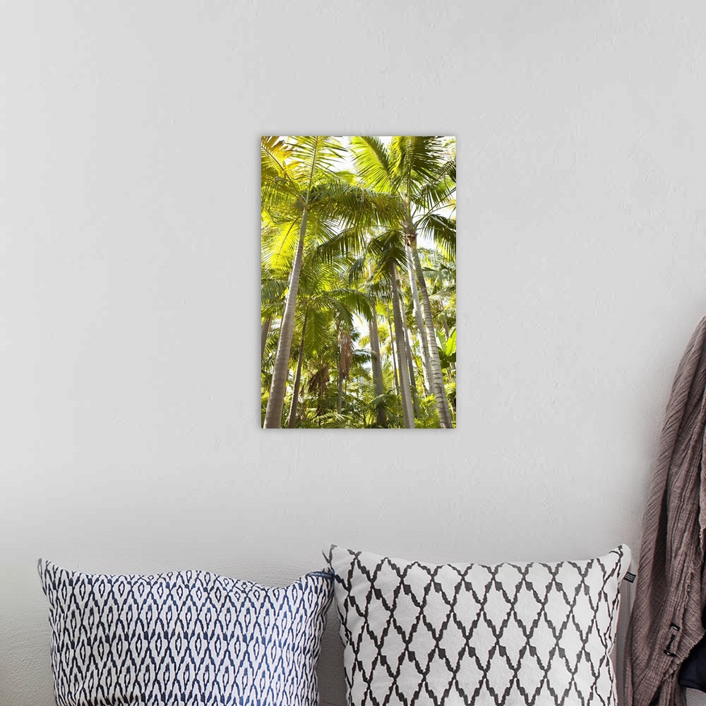 A bohemian room featuring Tropical Oasis I