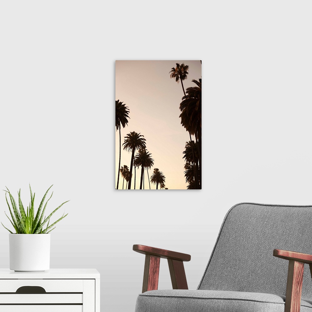 A modern room featuring Tropical Silhouette I