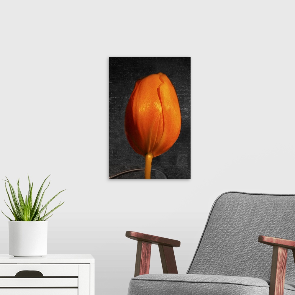 A modern room featuring Tulip Letter II