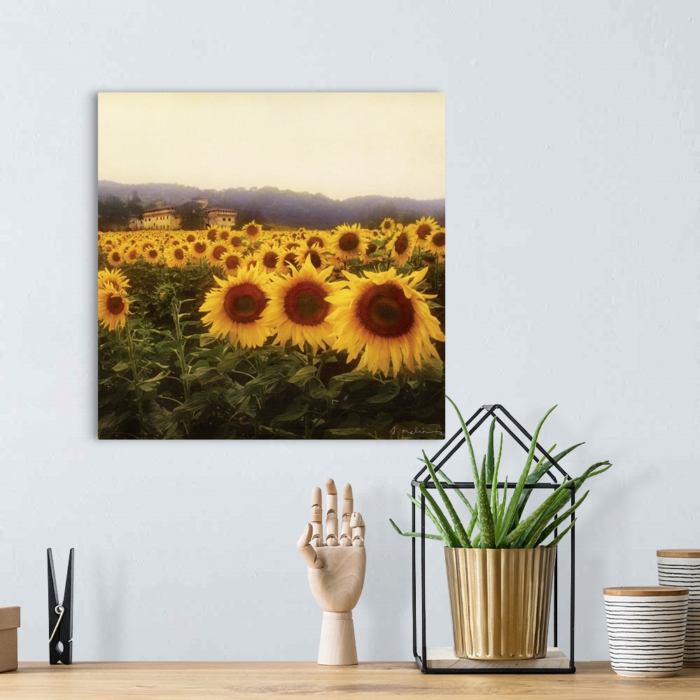 A bohemian room featuring Tuscan Sunflowers