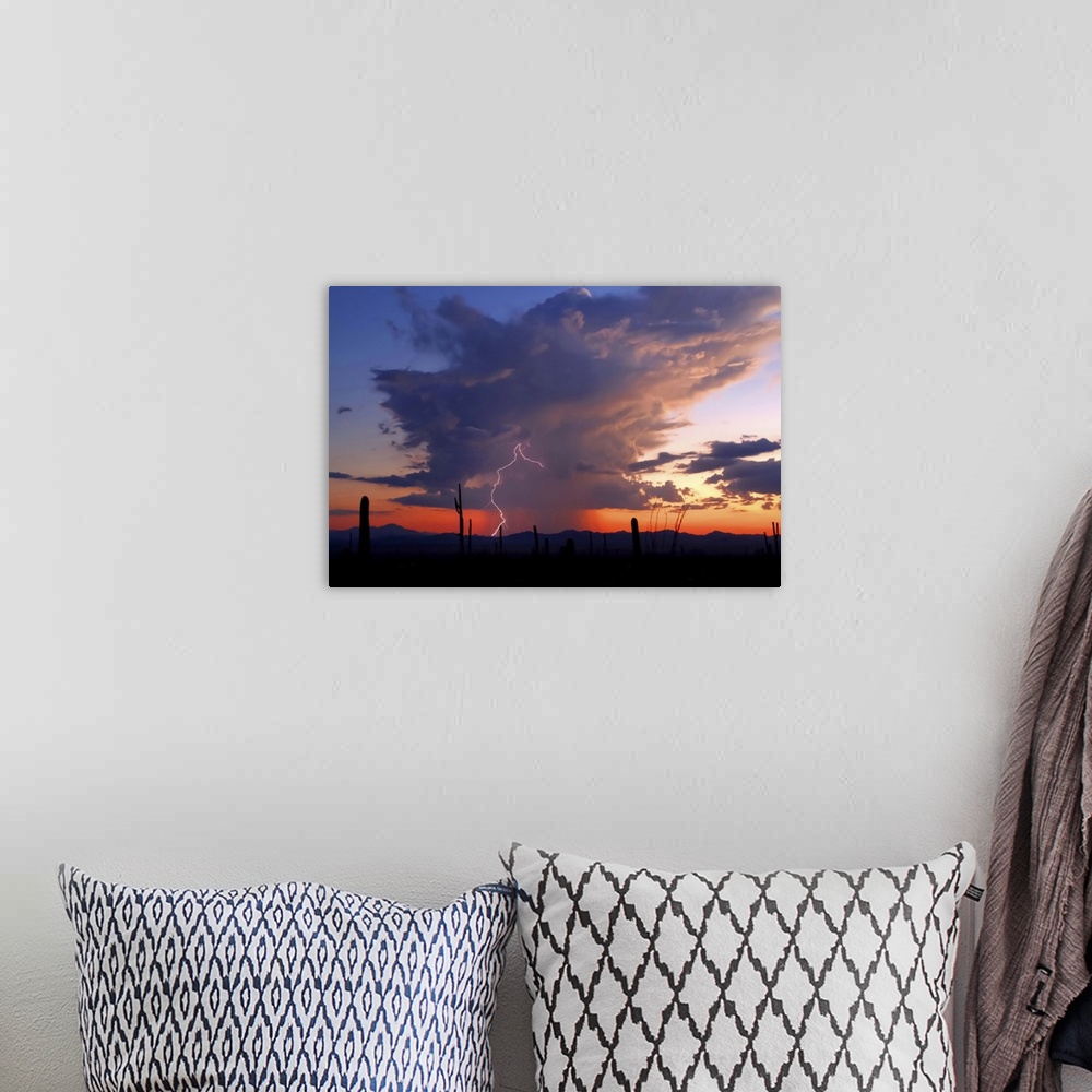 A bohemian room featuring Landscape photograph of a desert with silhouetted cacti at sunset, a storm in the distance, and l...