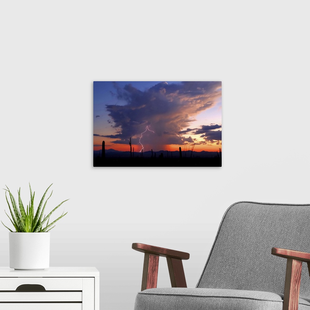 A modern room featuring Landscape photograph of a desert with silhouetted cacti at sunset, a storm in the distance, and l...