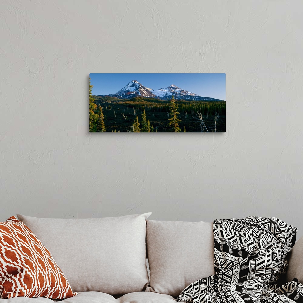 A bohemian room featuring Landscape photograph with two snow capped mountain peaks in the background and tree covered hills...
