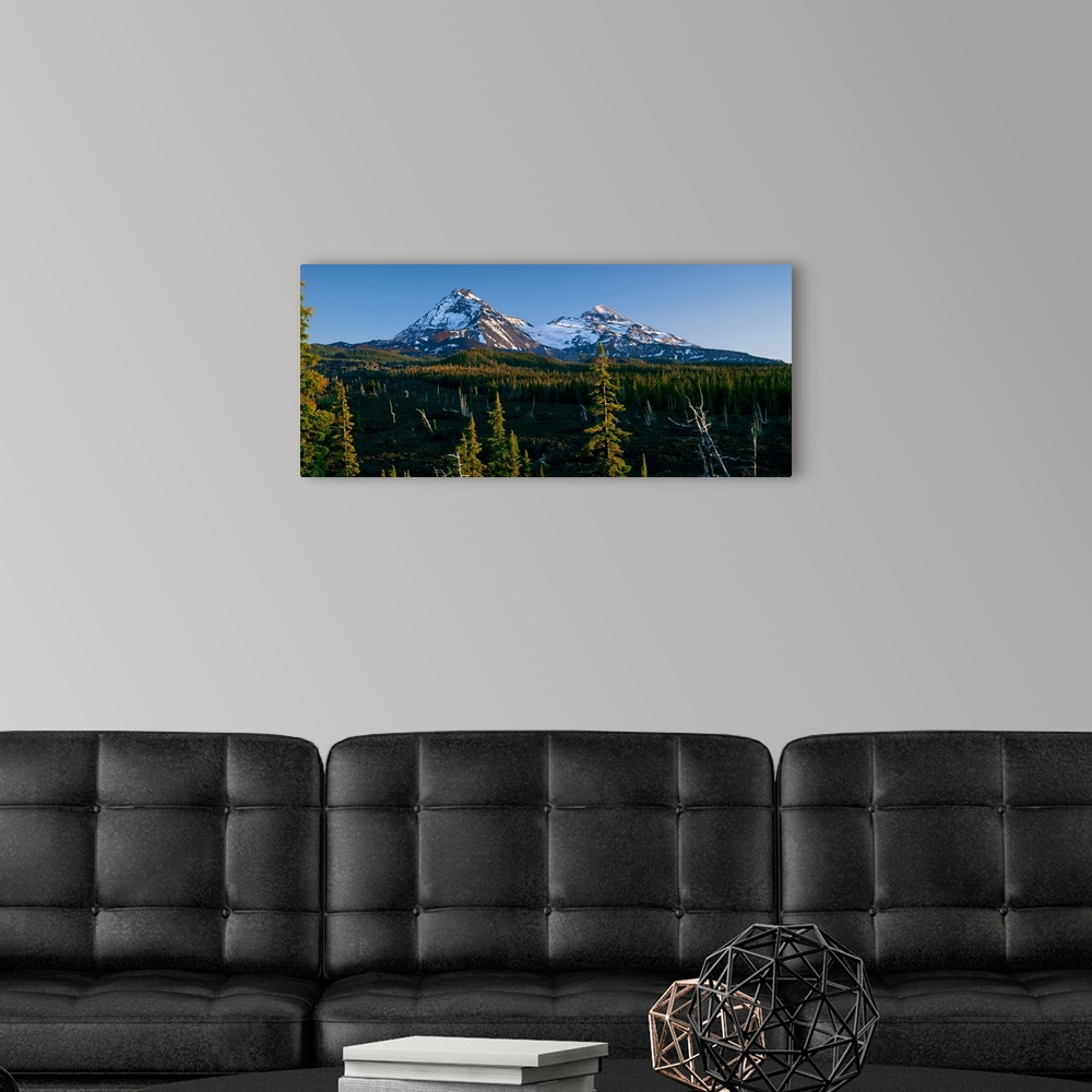 A modern room featuring Landscape photograph with two snow capped mountain peaks in the background and tree covered hills...