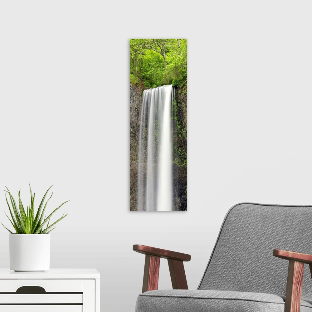 A modern room featuring A tall waterfall in a green forest in Oregon.