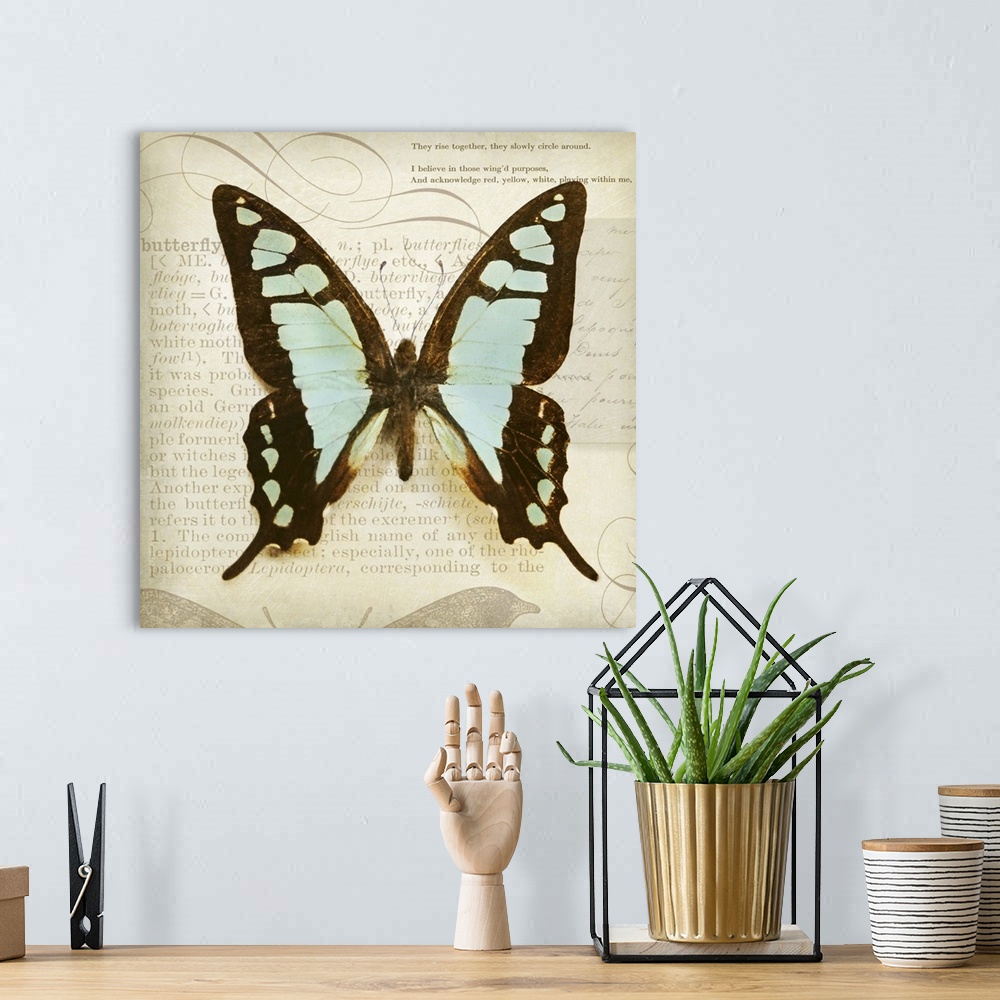 A bohemian room featuring Vintage Butterfly I
