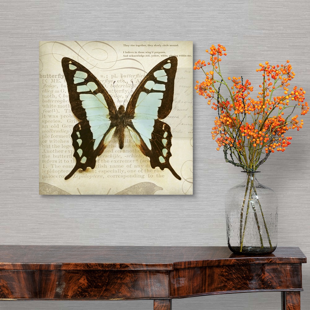 A traditional room featuring Vintage Butterfly I
