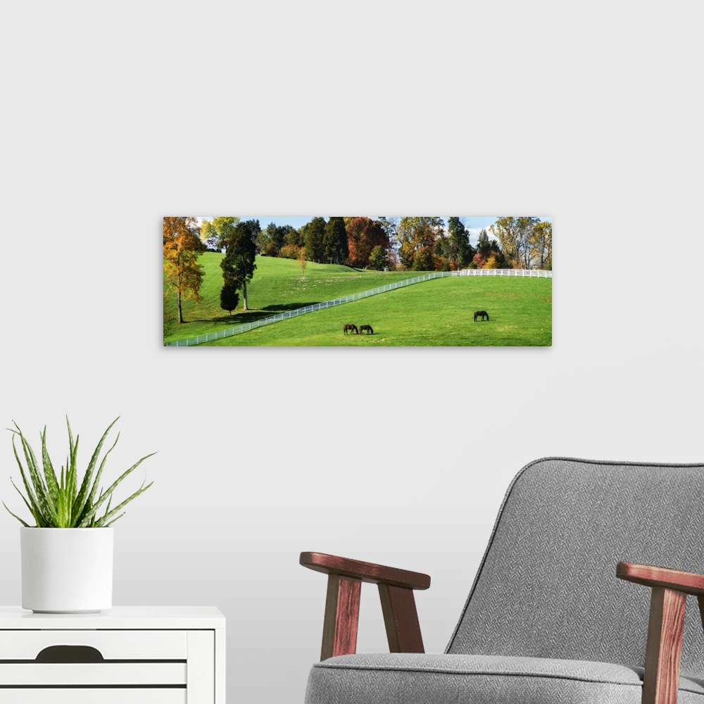 A modern room featuring Panoramic photograph of horses grazing in field surrounded by Autumn trees and bright green grass.