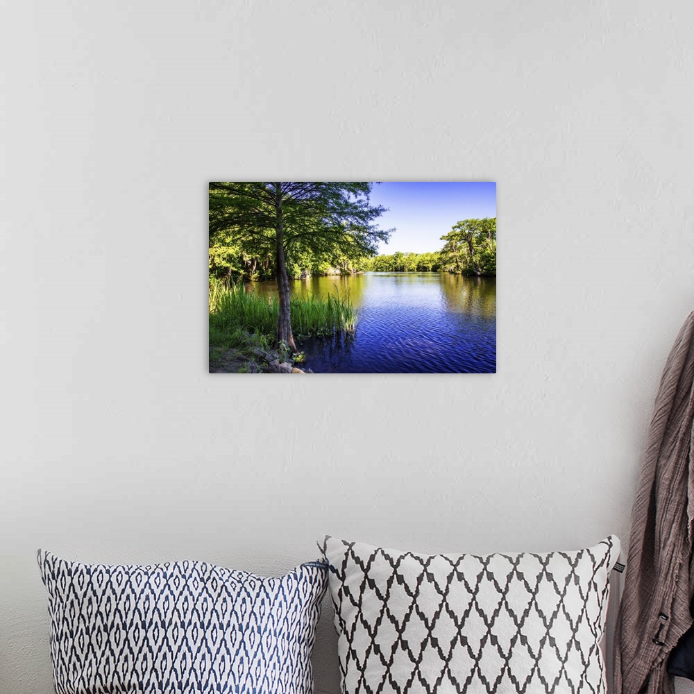 A bohemian room featuring Landscape photograph of the Waccamaw River lined with trees on a clear day.