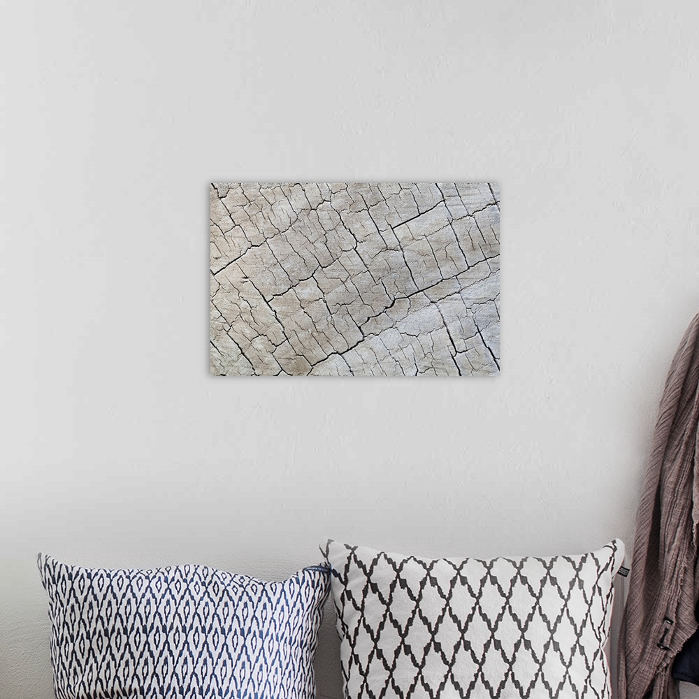 A bohemian room featuring Close up of old grey wood with an abstract pattern.