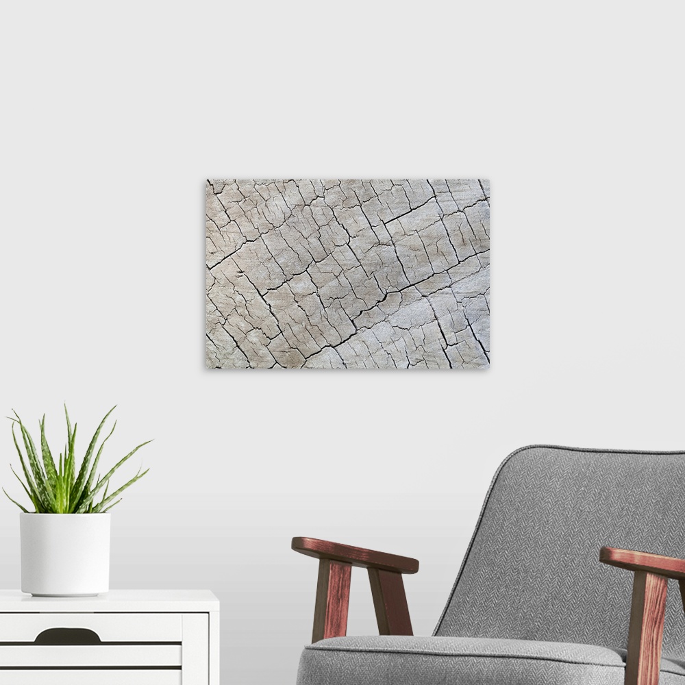 A modern room featuring Close up of old grey wood with an abstract pattern.