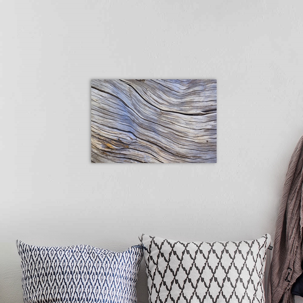 A bohemian room featuring Close up photo of old grey bark, creating an abstract image.