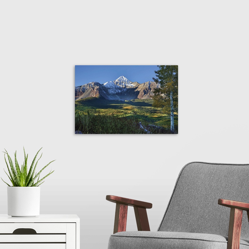 A modern room featuring Wilson Peak in the Colorado Rockies near Telluride with fall colors and an aspen tree