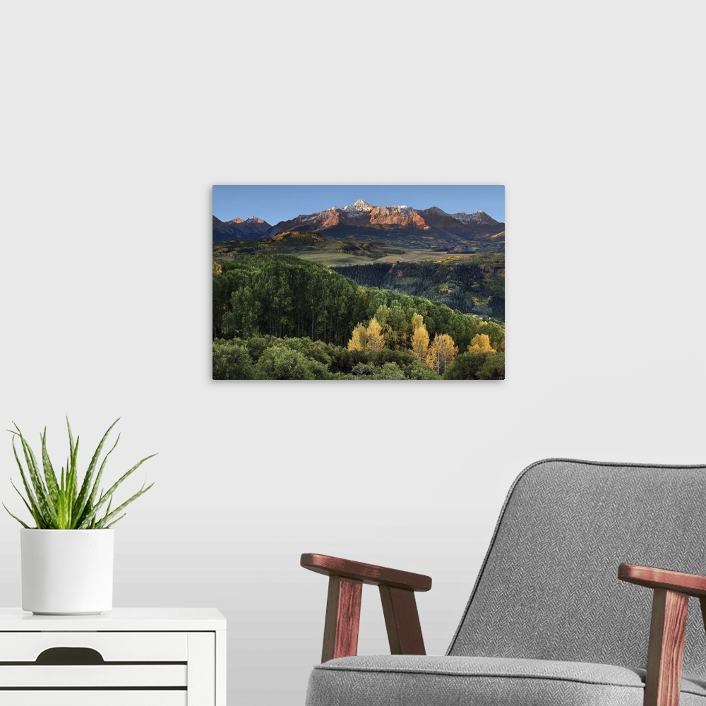 A modern room featuring Wilson Peak in the Colorado Rockies near Telluride with a stand of yellow aspens and rolling hill...