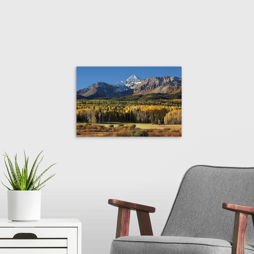 A modern room featuring Wilson Peak in the Colorado Rockies near Telluride with yellow and green aspens just after sunrise