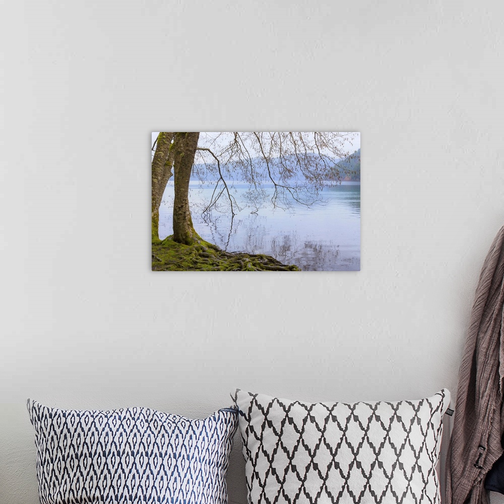 A bohemian room featuring Winter Alders I
