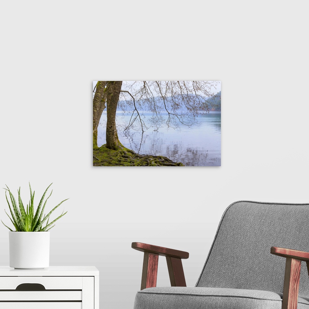 A modern room featuring Winter Alders I