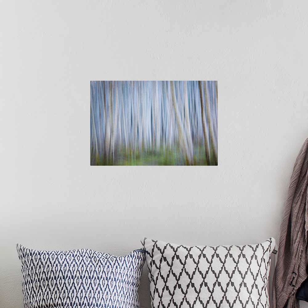 A bohemian room featuring Blurred image of a forest of thin trees, creating an abstract image.
