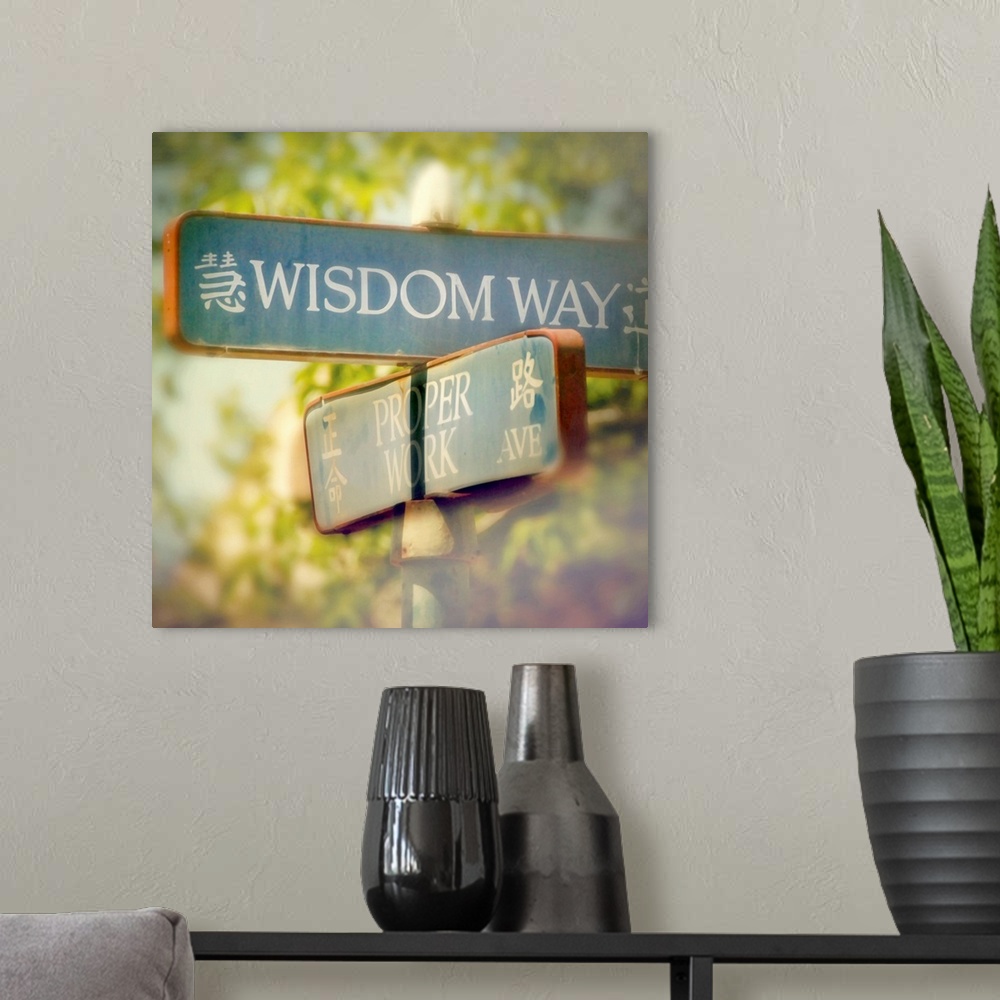 A modern room featuring Wisdom