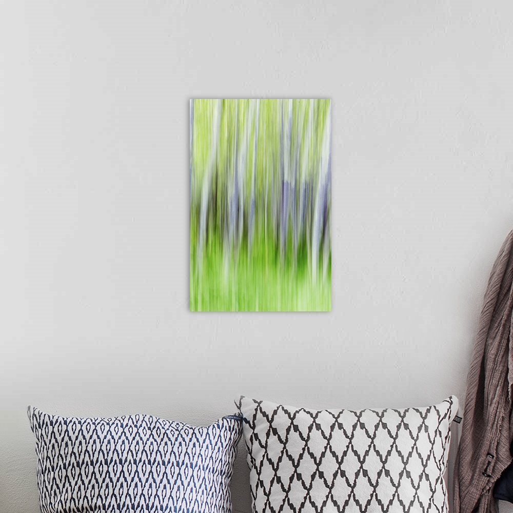 A bohemian room featuring Blurred photo of aspen trees in a forest, creating an abstract image.