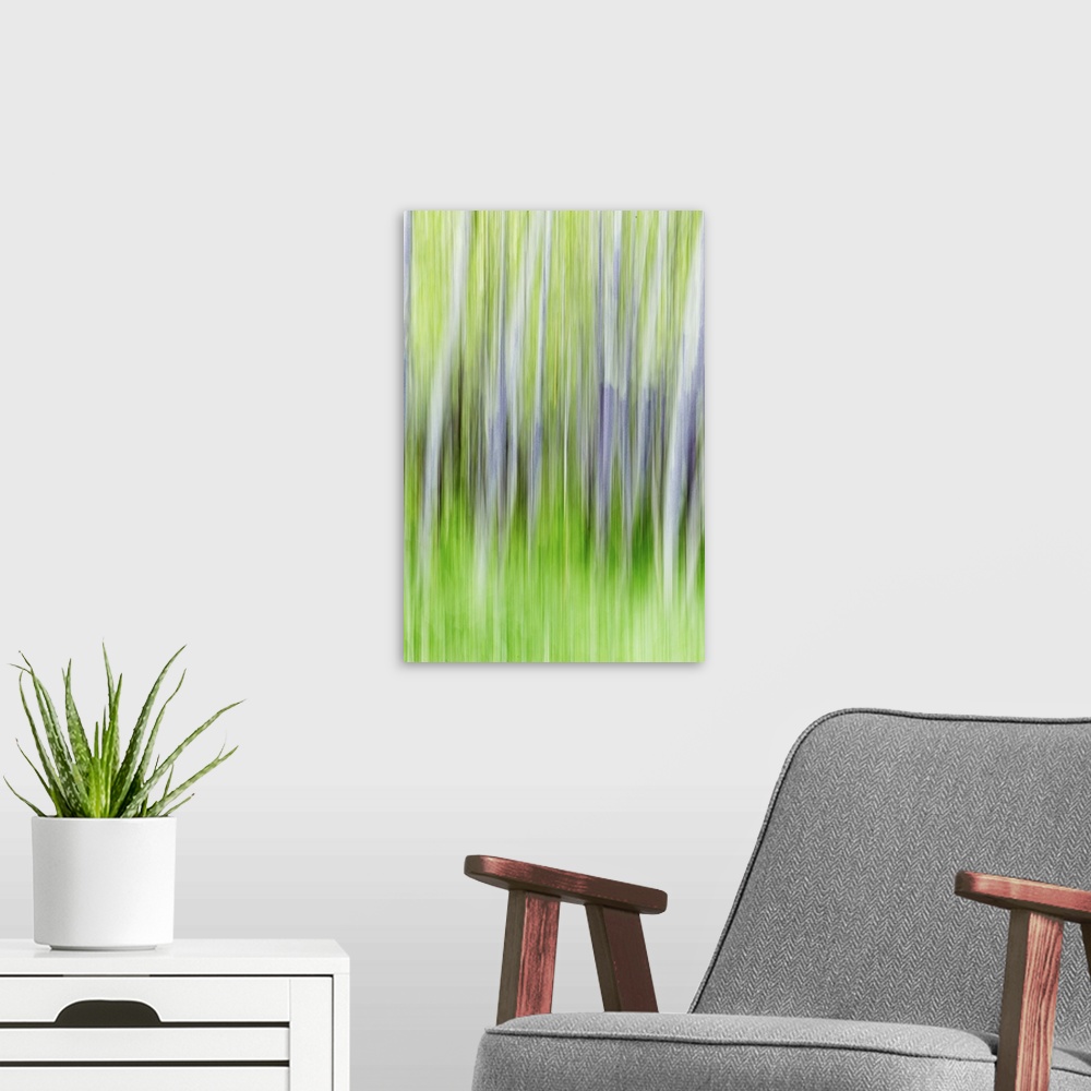 A modern room featuring Blurred photo of aspen trees in a forest, creating an abstract image.