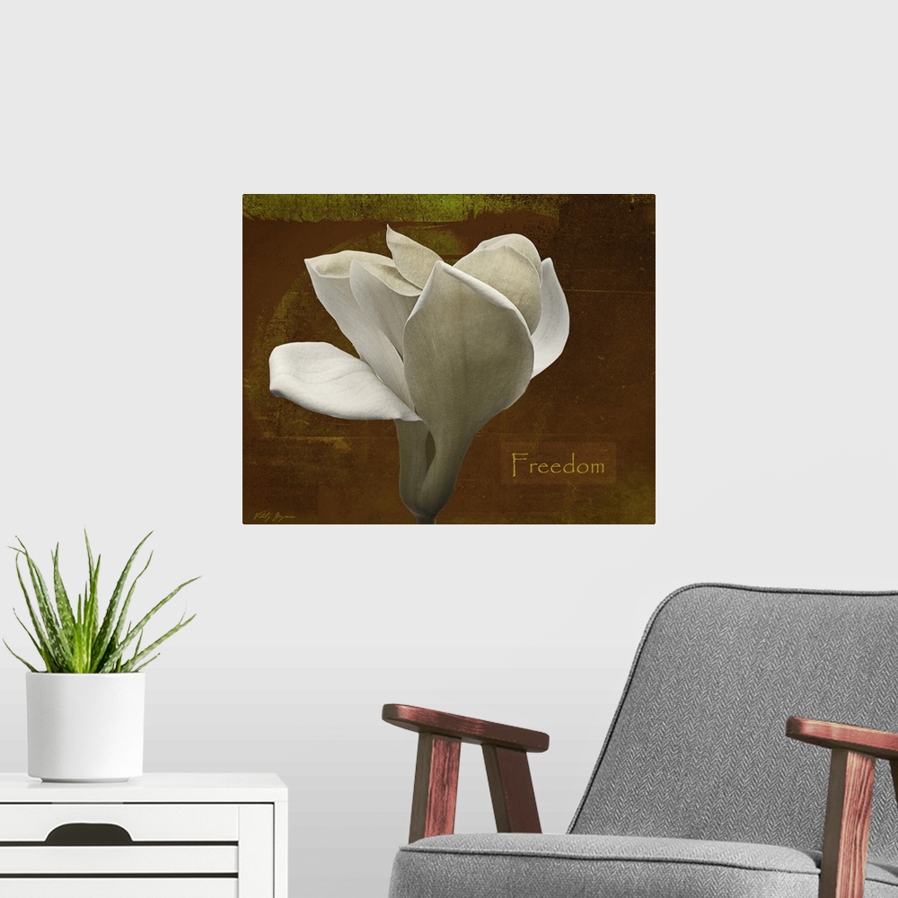 A modern room featuring Docor perfect for the home of a large white tulip against a distressed brown background with the ...