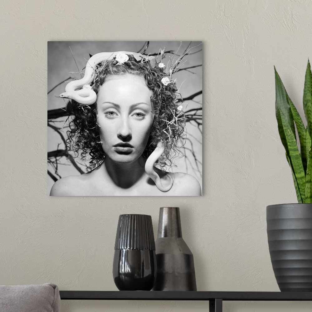 A modern room featuring A caucasian nature goddess with a snake in her hair gazes from a dream