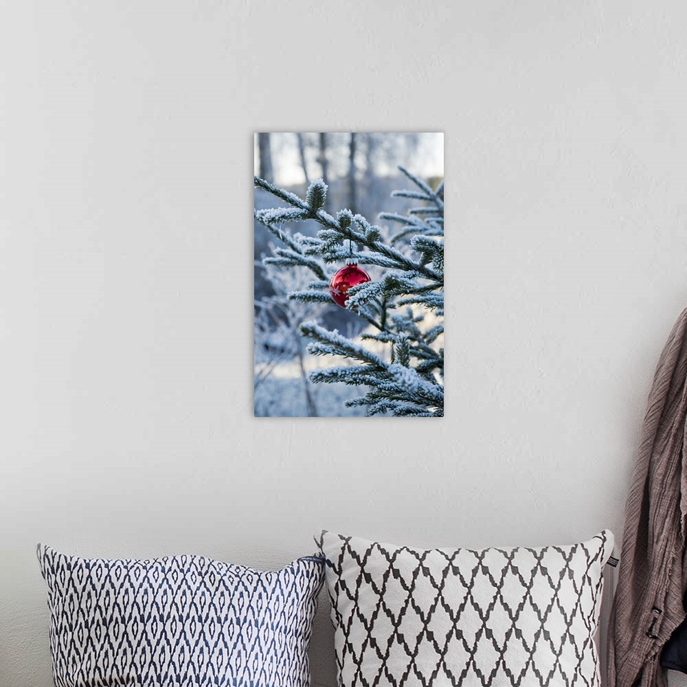 A bohemian room featuring Large, close up photograph on a vertical wall hanging of pine branches covered in snow, with a si...