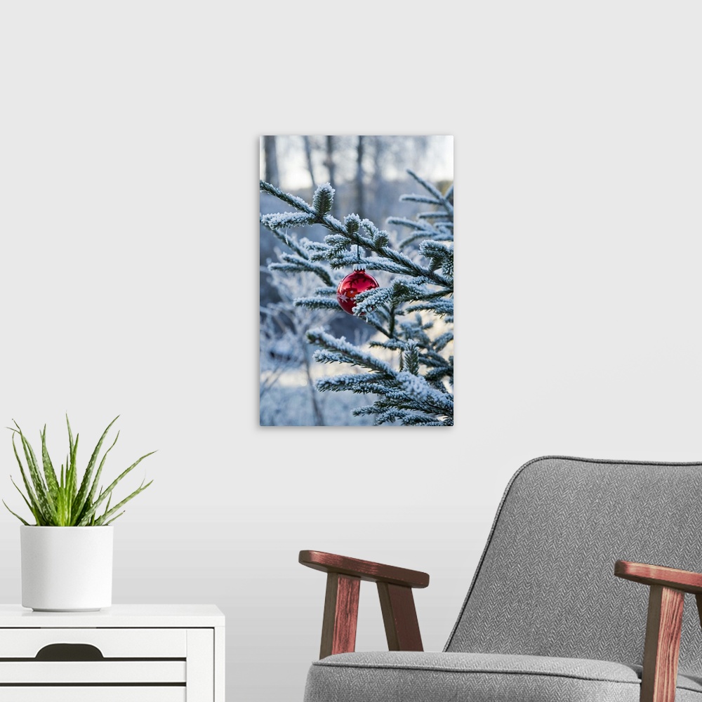 A modern room featuring Large, close up photograph on a vertical wall hanging of pine branches covered in snow, with a si...