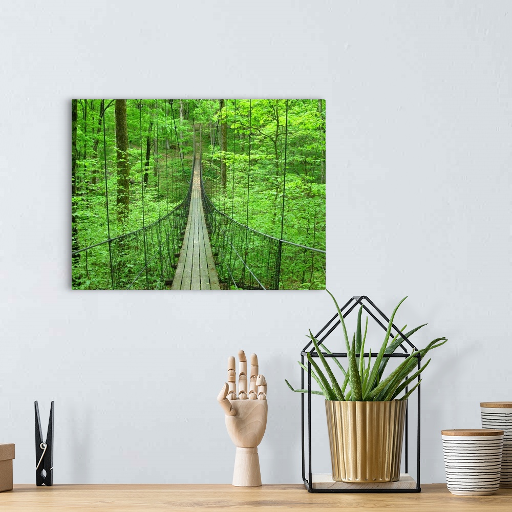 A bohemian room featuring Big, landscape photograph leading down a small, narrow suspension bridge, through a thick forest ...