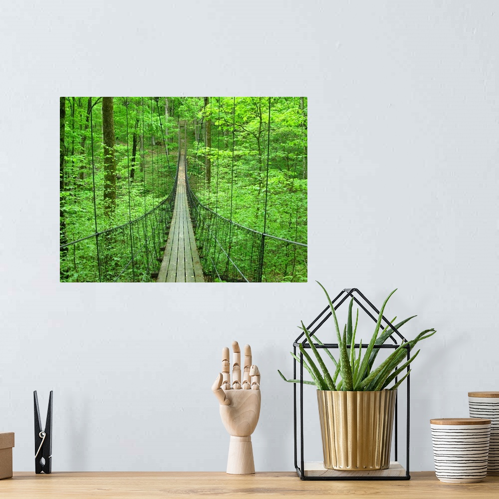 A bohemian room featuring Big, landscape photograph leading down a small, narrow suspension bridge, through a thick forest ...