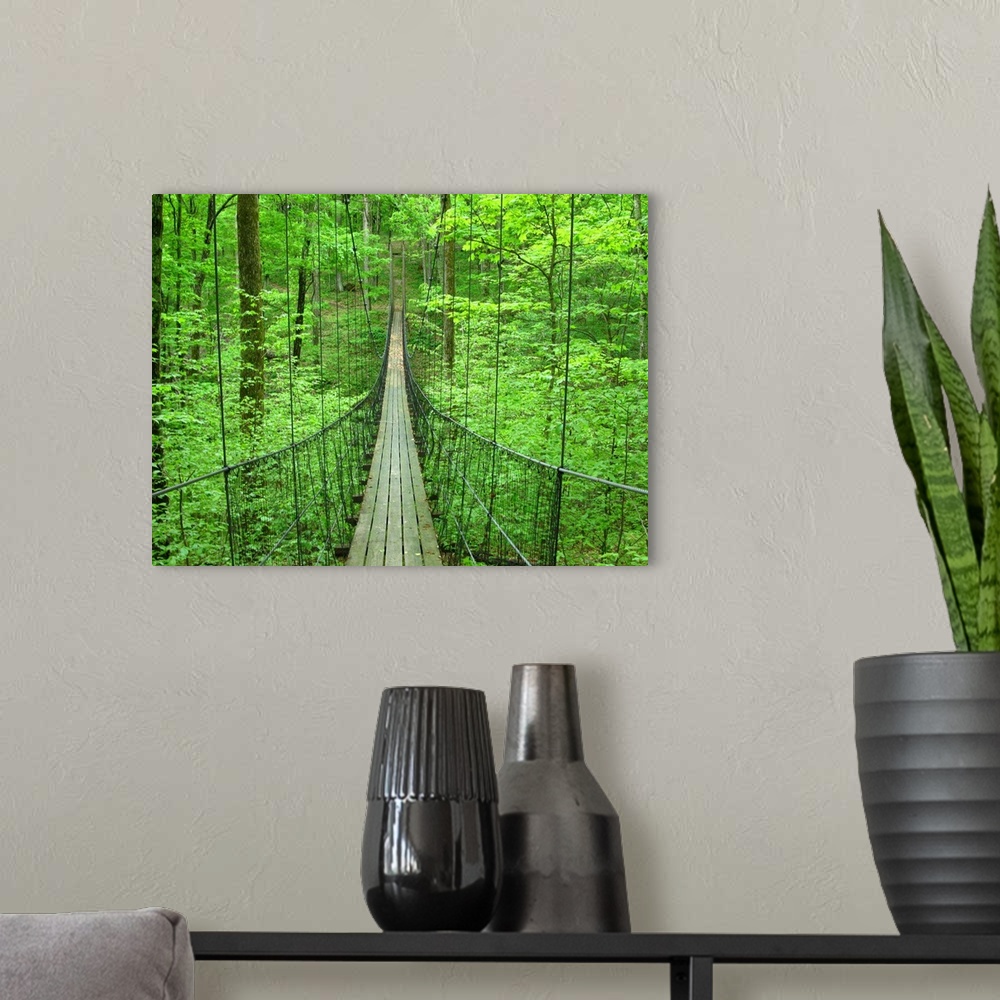 A modern room featuring Big, landscape photograph leading down a small, narrow suspension bridge, through a thick forest ...