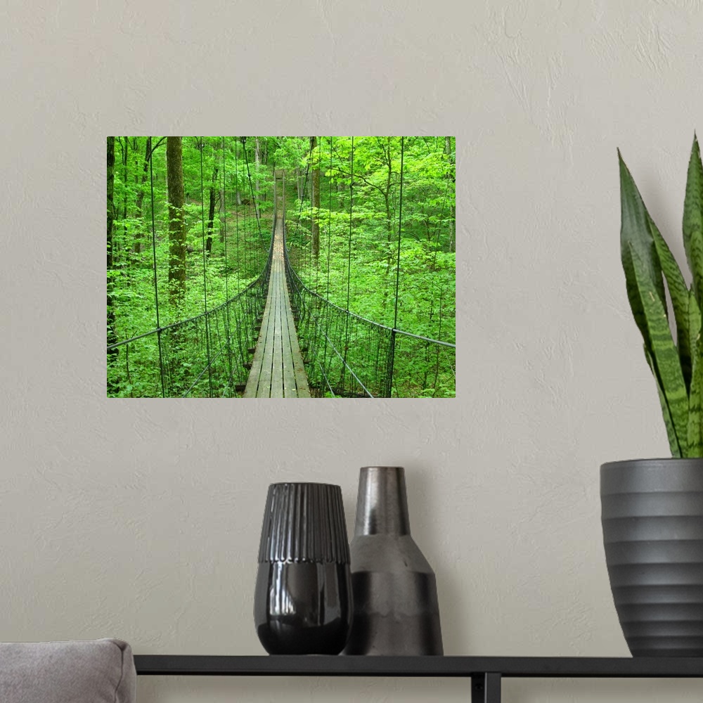 A modern room featuring Big, landscape photograph leading down a small, narrow suspension bridge, through a thick forest ...