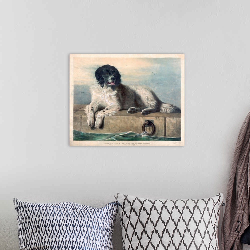 A bohemian room featuring Print after an original painting by Sir Edwin Henry Landseer. The dog was a stray named Bob who l...