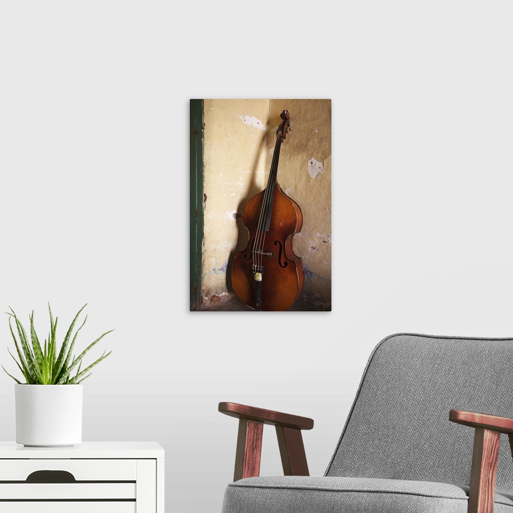 A modern room featuring A an double bass in the corner of a room
