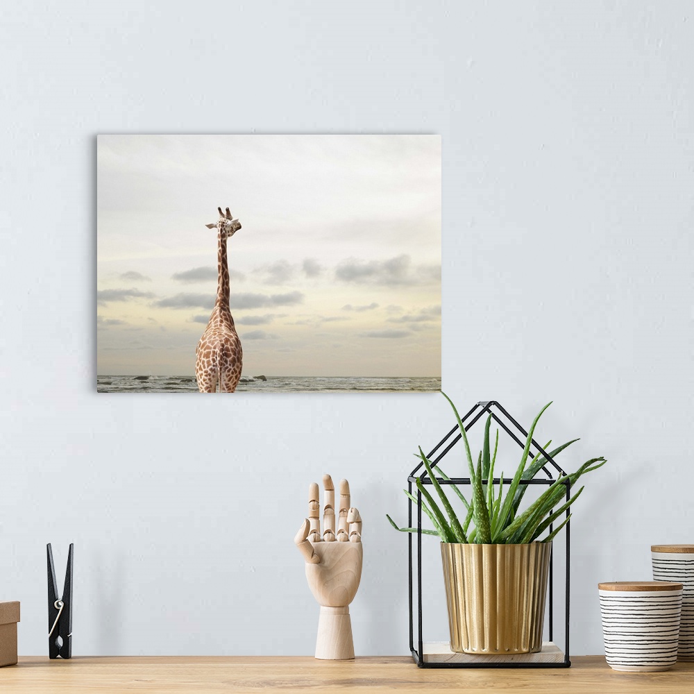 A bohemian room featuring A giraffe looking at a view of the sea