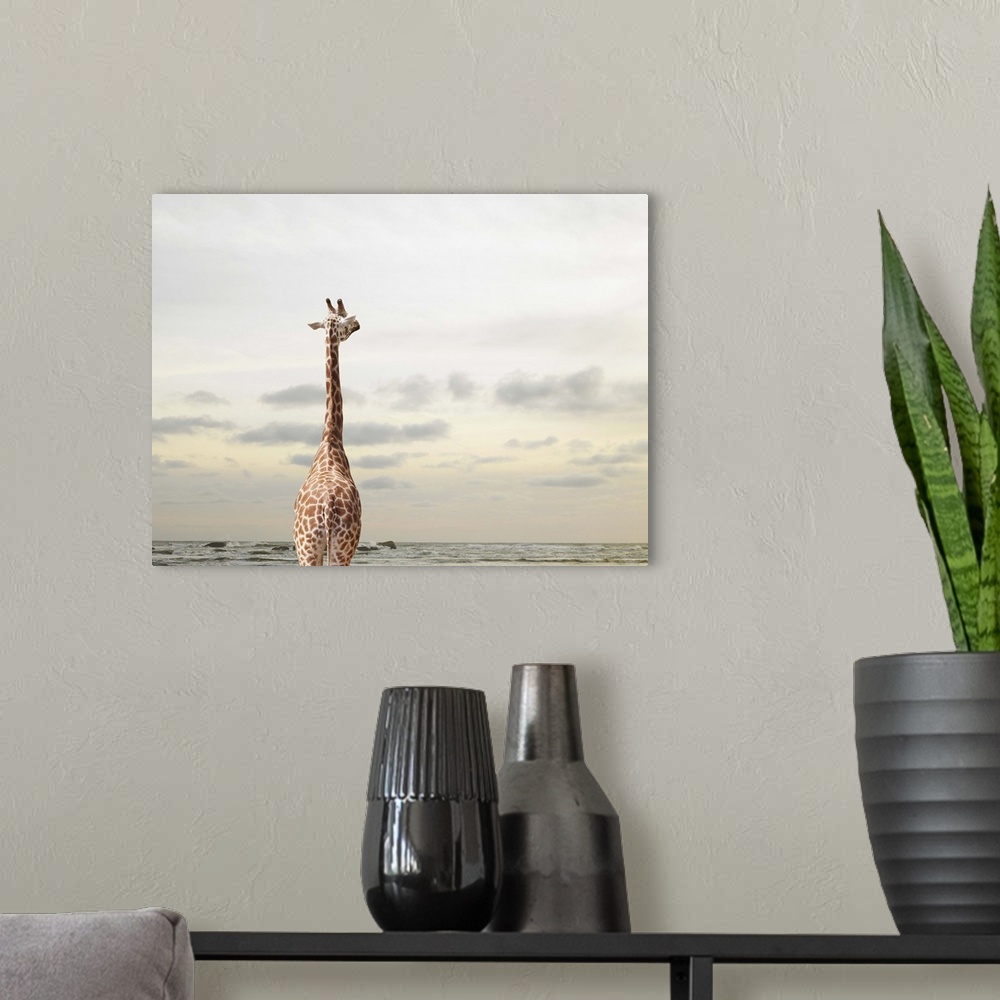 A modern room featuring A giraffe looking at a view of the sea