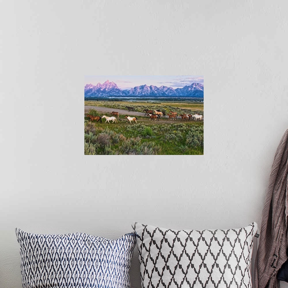 A bohemian room featuring Big canvas photo of a group of horses walking through an open field with rugged mountains in the ...