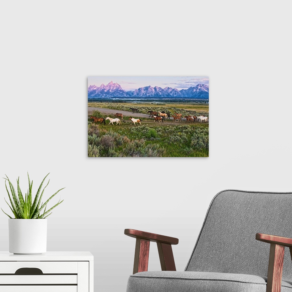 A modern room featuring Big canvas photo of a group of horses walking through an open field with rugged mountains in the ...