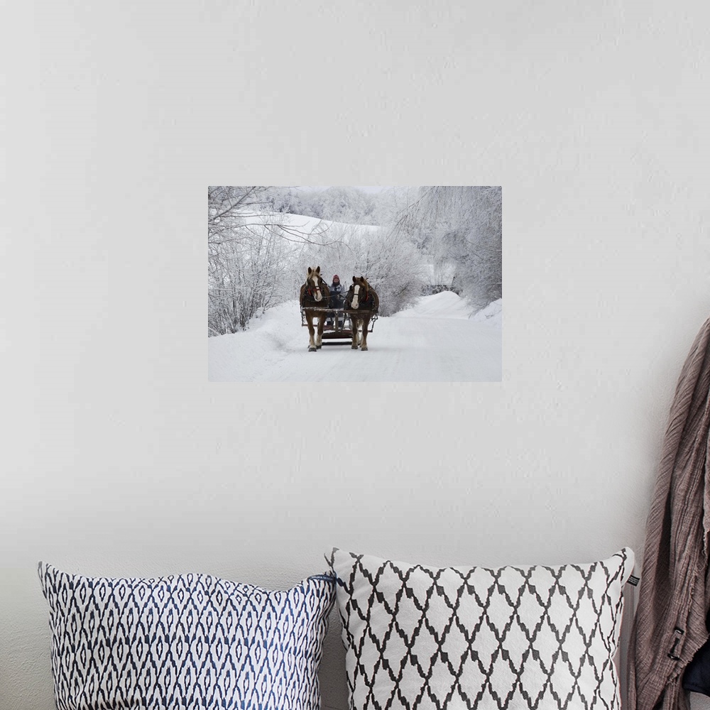 A bohemian room featuring A horse ride in the snow, Quebec, Canada