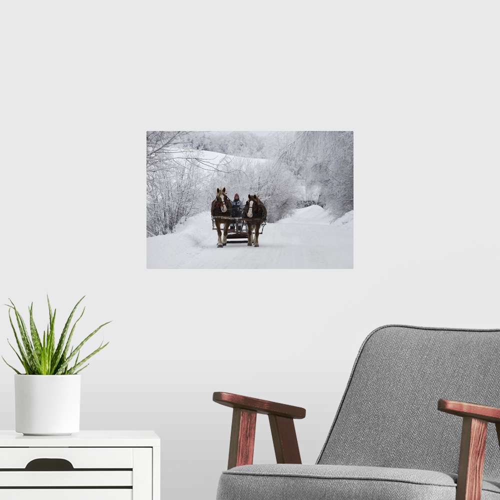 A modern room featuring A horse ride in the snow, Quebec, Canada