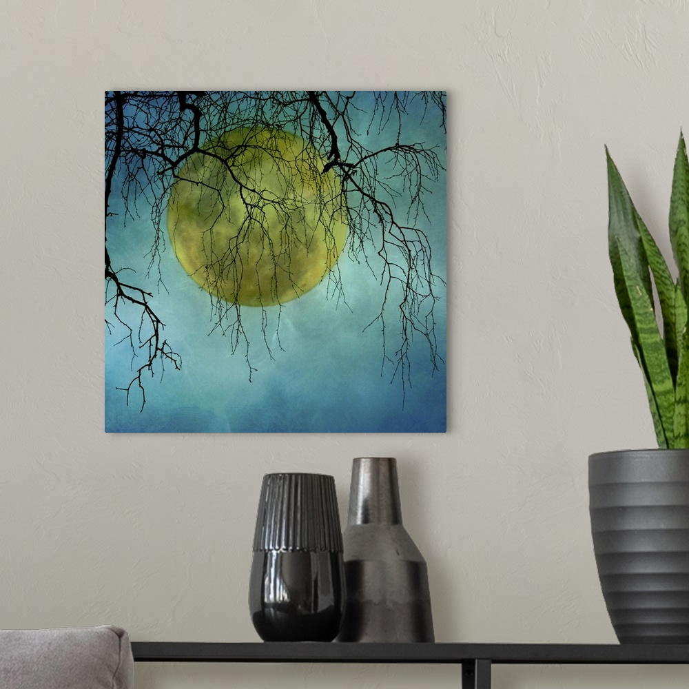 A modern room featuring A huge full moon behind bare winter branches.Atmospherically textured.
