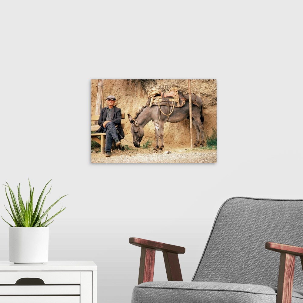 A modern room featuring Greece,Meteora,man with donkey