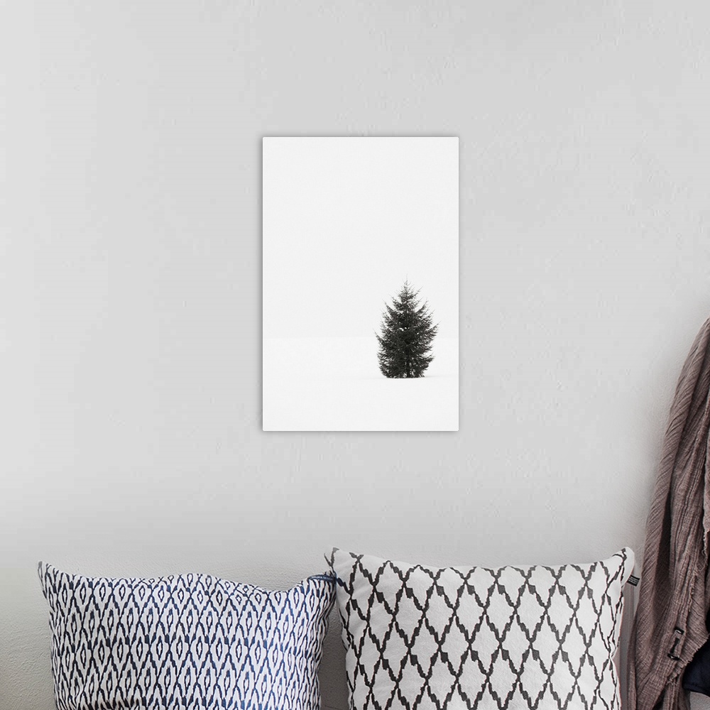 A bohemian room featuring Black and white photograph of a single evergreen tree in a snowy field on an overcast day.