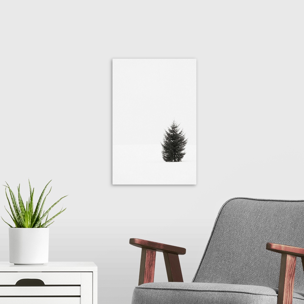 A modern room featuring Black and white photograph of a single evergreen tree in a snowy field on an overcast day.