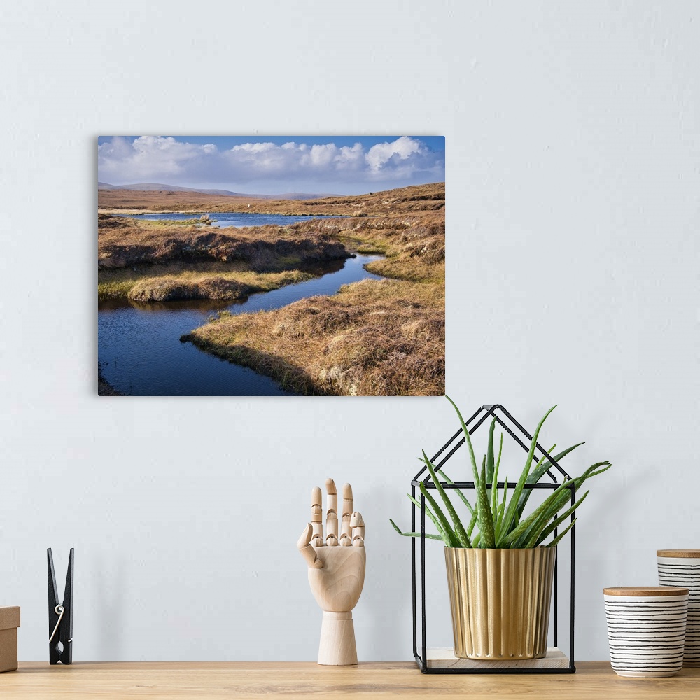 A bohemian room featuring A wetland area forming peat near Eshaness, Northmavine on Mainland, Shetland, UK. Taken on a sunn...
