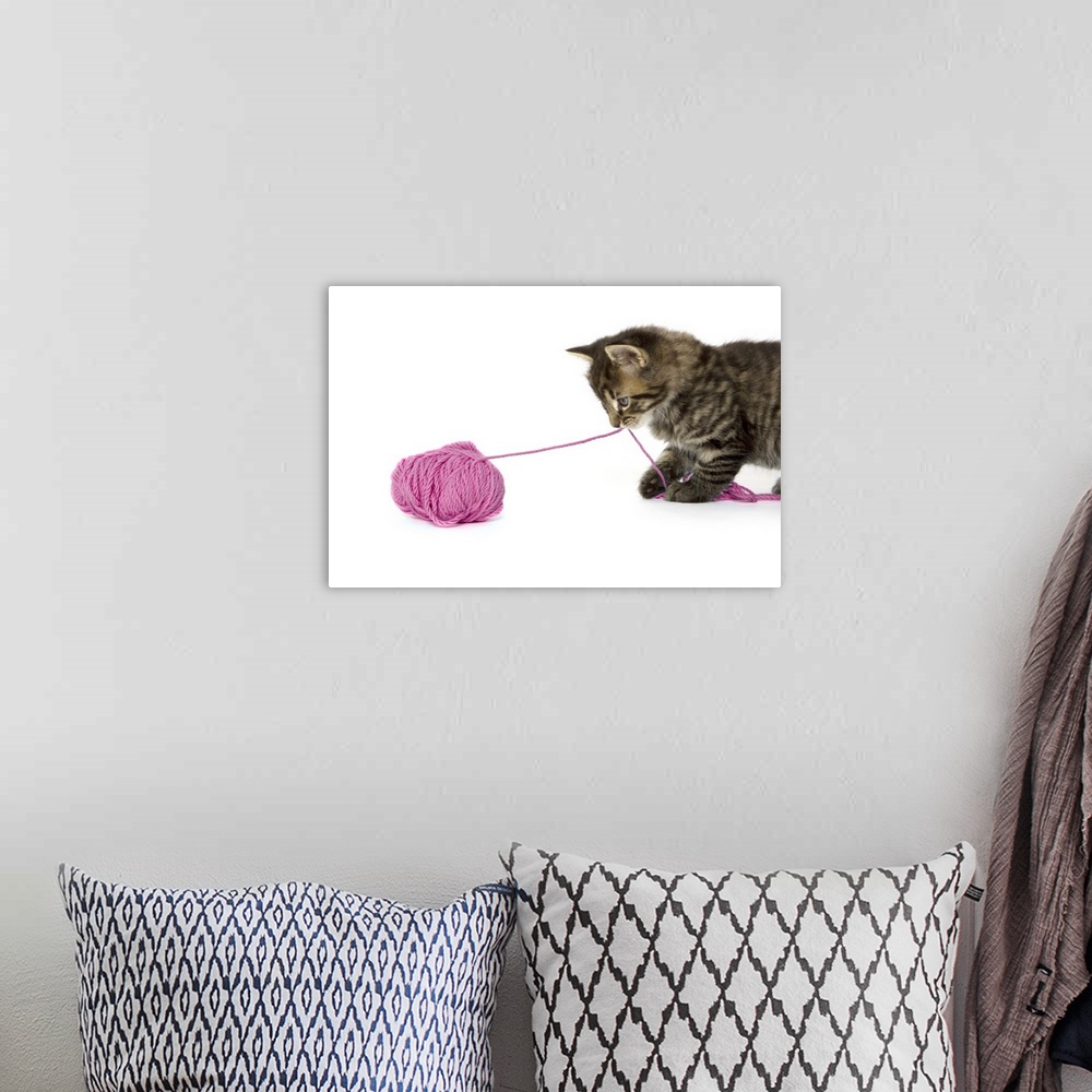 A bohemian room featuring A young tabby kitten playing with a ball of wool.