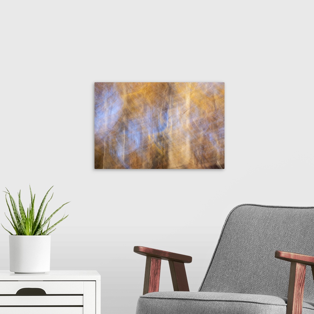 A modern room featuring Abstract landscape using long exposure and intentional camera movement shows vibrant autumn color...
