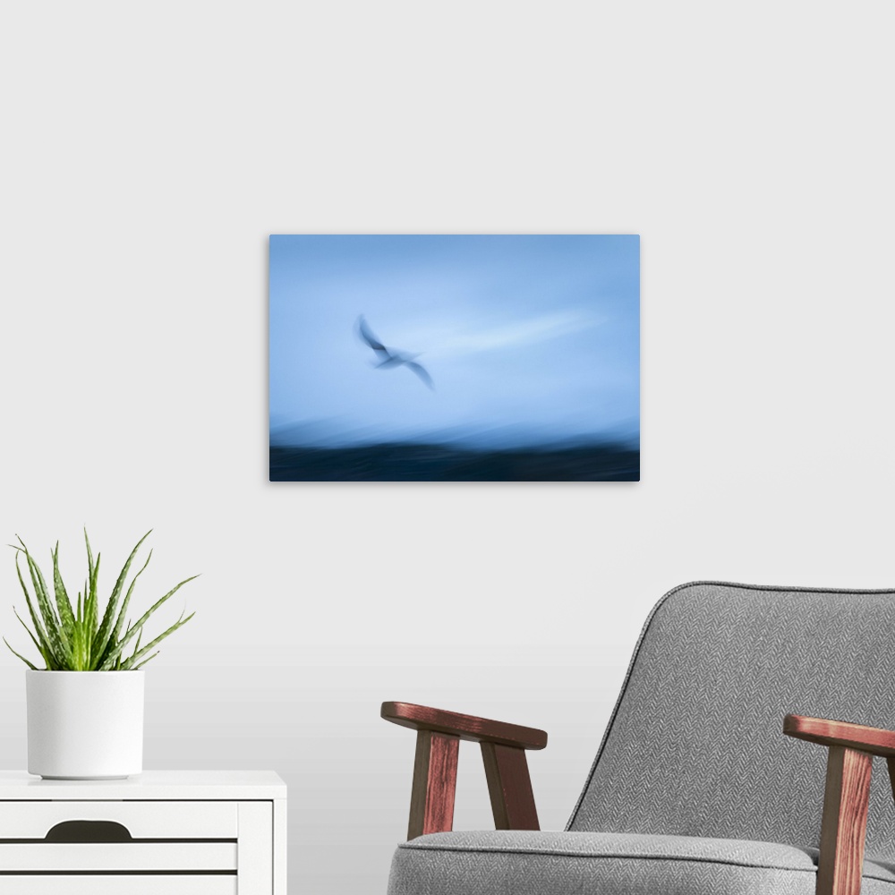 A modern room featuring Abstract image of seagull flying towards the sea. Image captured using intentional camera movemen...
